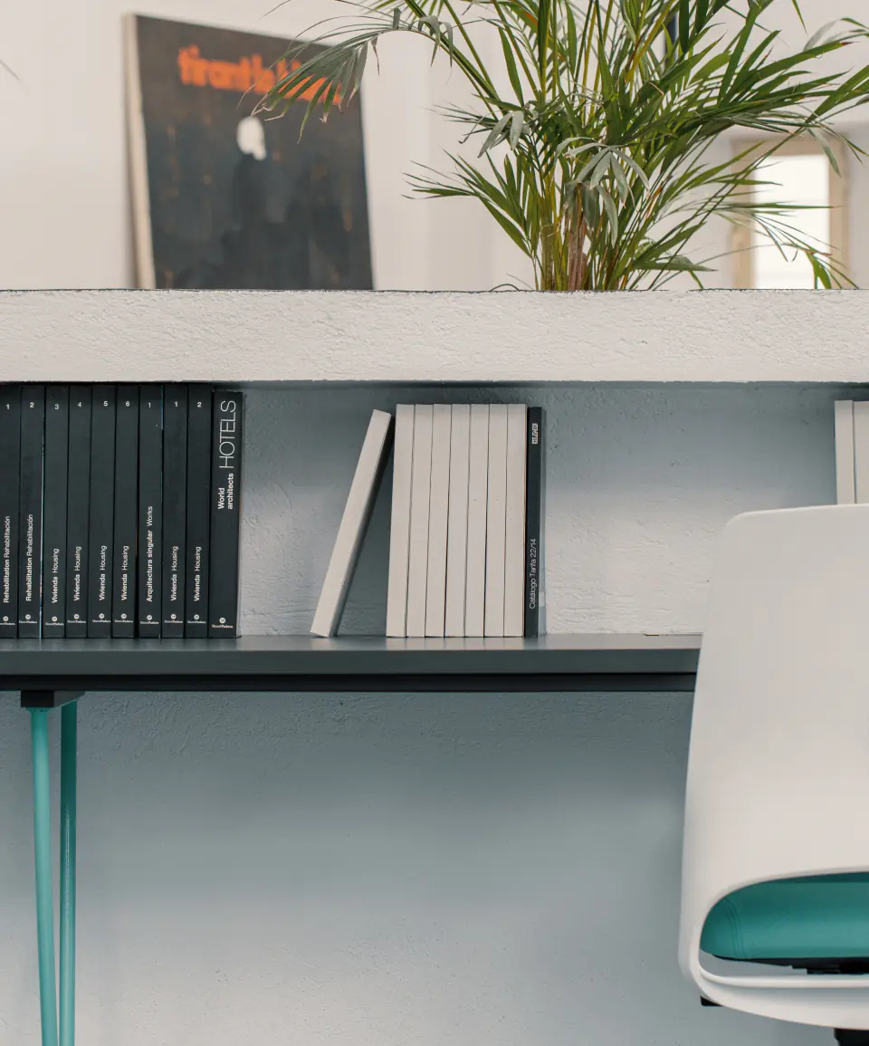 Shelving with books and plants beside a work area
