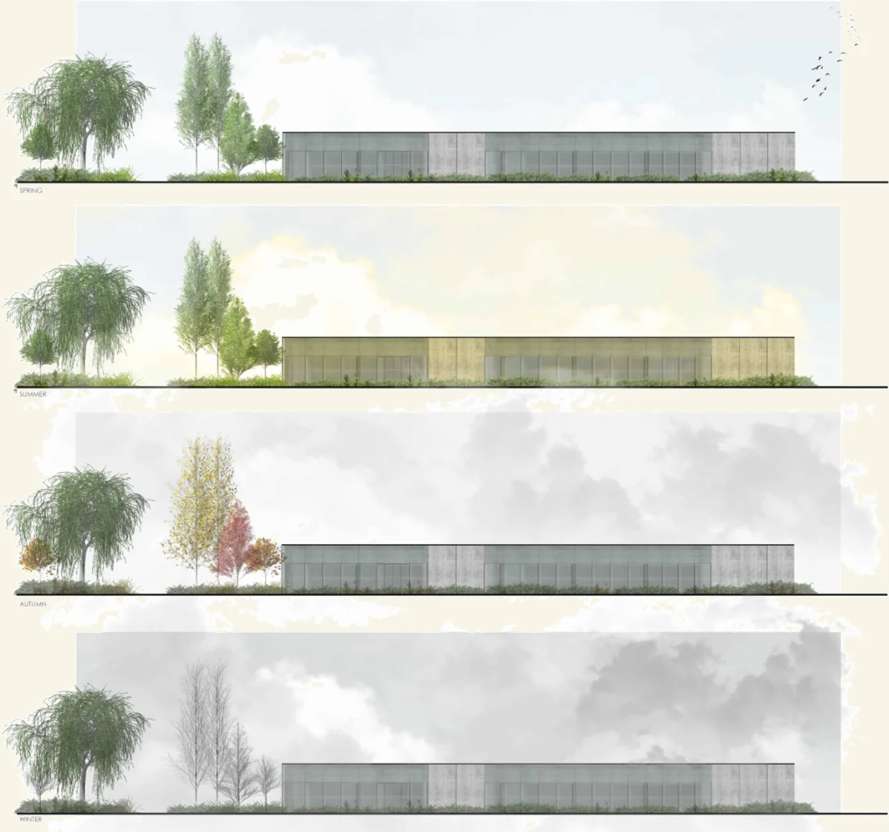Sections through the landscaped strip and green roof